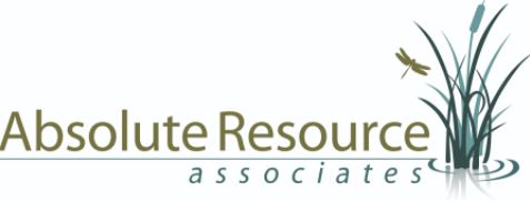 Absolute Resources